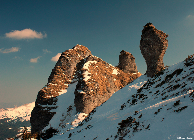 Ciucas Mountains - Stones